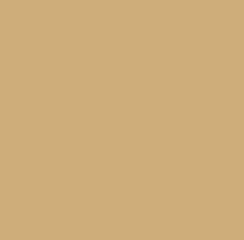 Beige 010