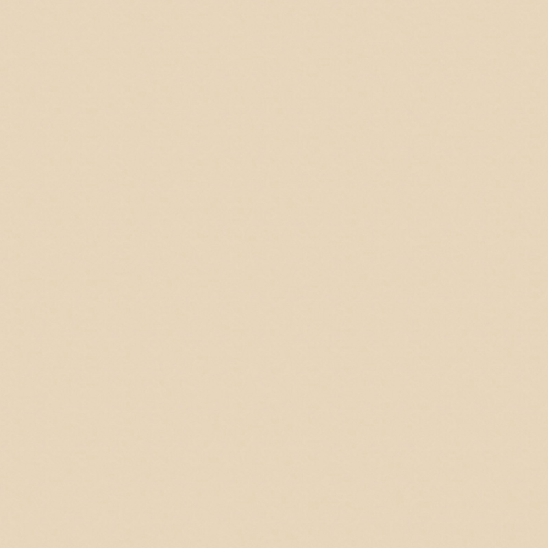 Beige 344