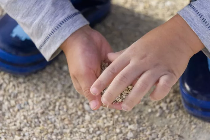 Zu sehen sind Hände, die Sand und kleine Steinchen halten. 